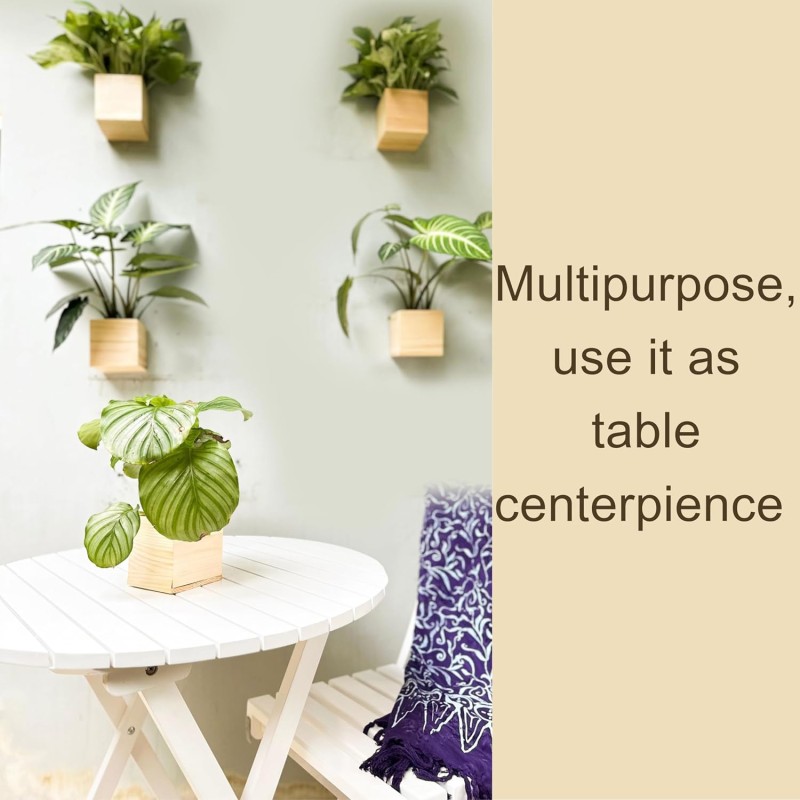 Hanging Planter Factory - 2 Piece Set Natural Wood Centerpiece