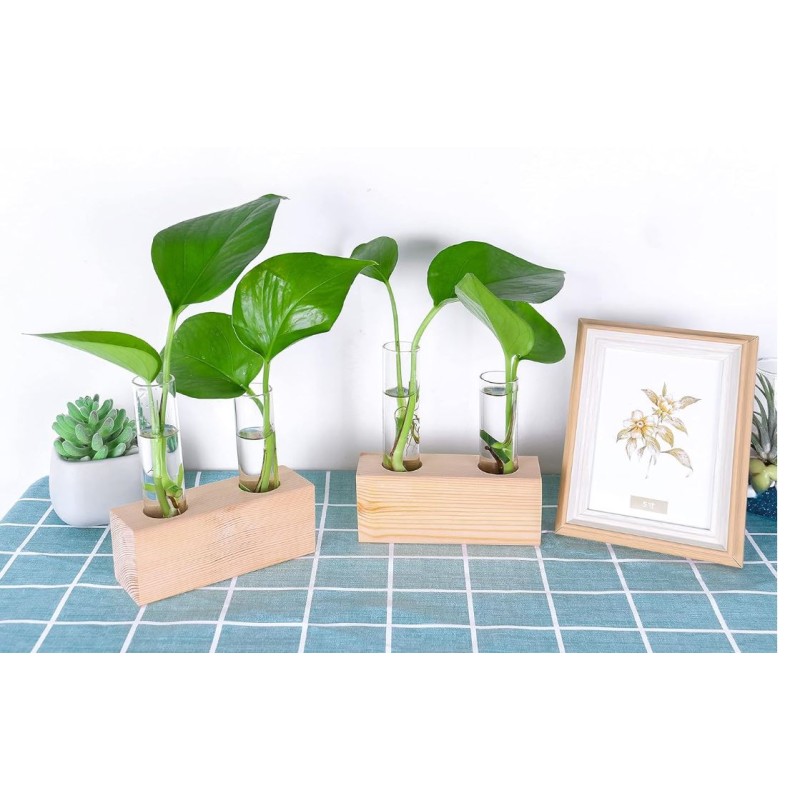 Propagation Station Factory - Double Test Tube Wooden Stand