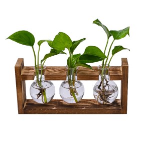 Hydroponic Vase Manufacturer - Round Heart Shape Glass Wood