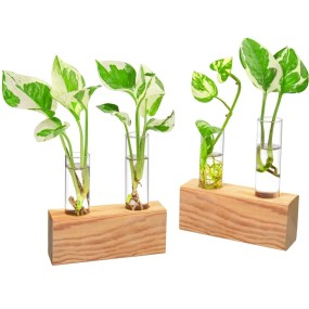 Propagation Station Factory - Double Test Tube Wooden Stand