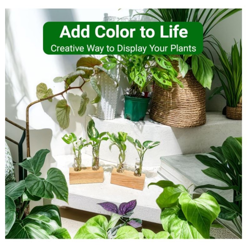 Propagation Station Factory - Double Test Tube Wooden Stand