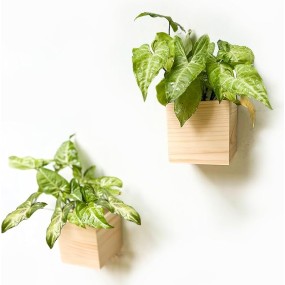 Hanging Planter Factory - 2 Piece Set Natural Wood Centerpiece
