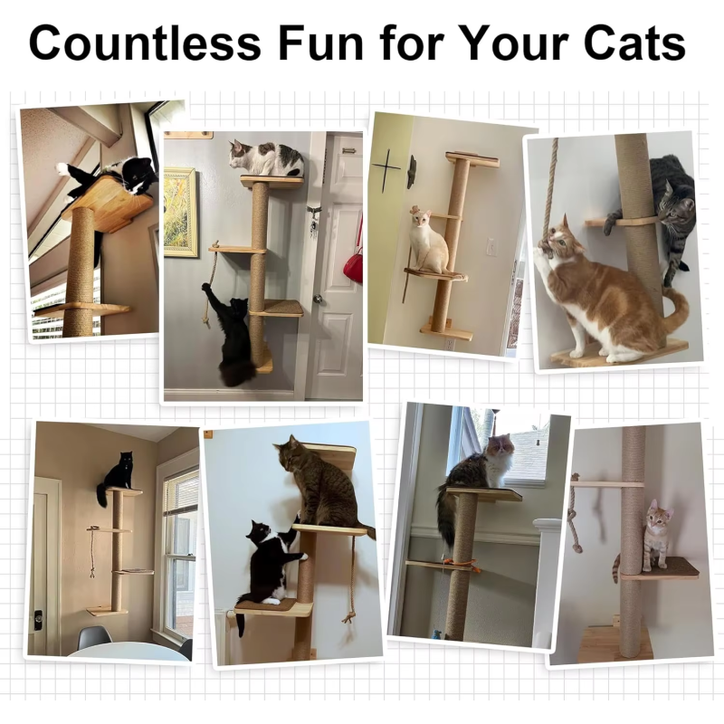 Pet Urn Supplier - Large Wooden with Photo Frame