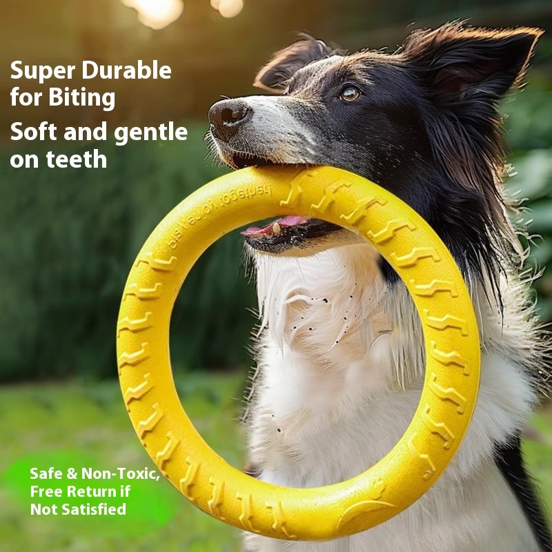 Dog Chewing Toy Factory - Interactive Classic Style EVA Material