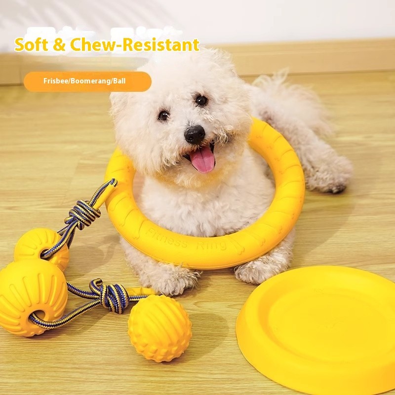 Dog Chewing Toy Manufacturer - Interactive Luxury Classic EVA
