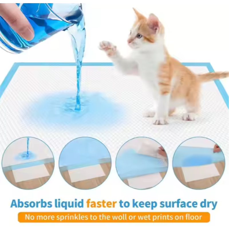 Pet Training Pad Manufacturer - 5 Layer Basic 45x60cm Disposable