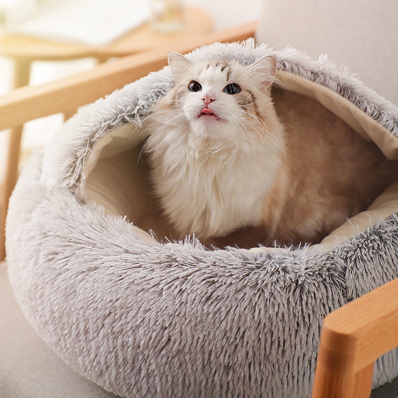 Pet Cave Supplier - Luxury Customizable Fluffy Semi Wrapped