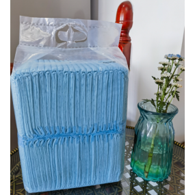 Dog Training Pads Supplier - 6 Layer Wood Pulp 60x60cm Basic