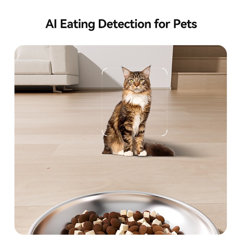 Smart Pet Feeder Supplier - 5L Automatic Eating Detection Record