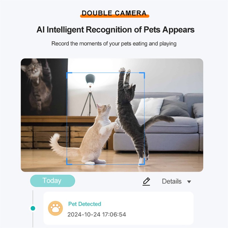 Automatic Cat Feeder Manufacturer - 5G Wifi Dual Camera 6L Timed