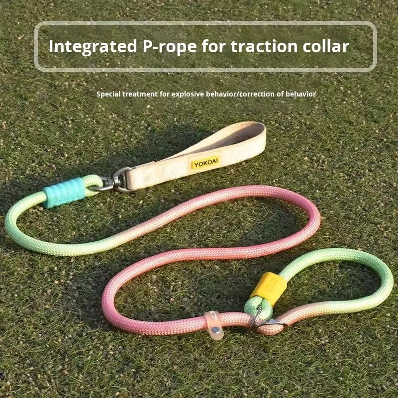 Dog Chain Leash Manufacturer - Hot New Explosion-Proof Anti-Tangle