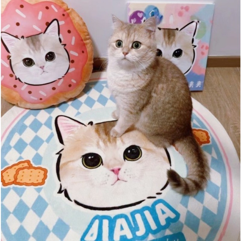 Pet Carpet Supplier - Custom Velvet Hand-Painted Portrait