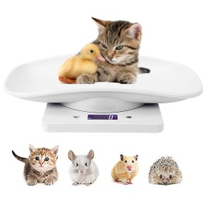 Pet Scale Manufacturer - Digital Precision LCD 10kg Weight
