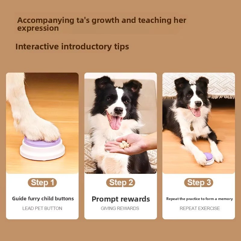Pet Talking Button Supplier - Magic Recording Squeaky Box