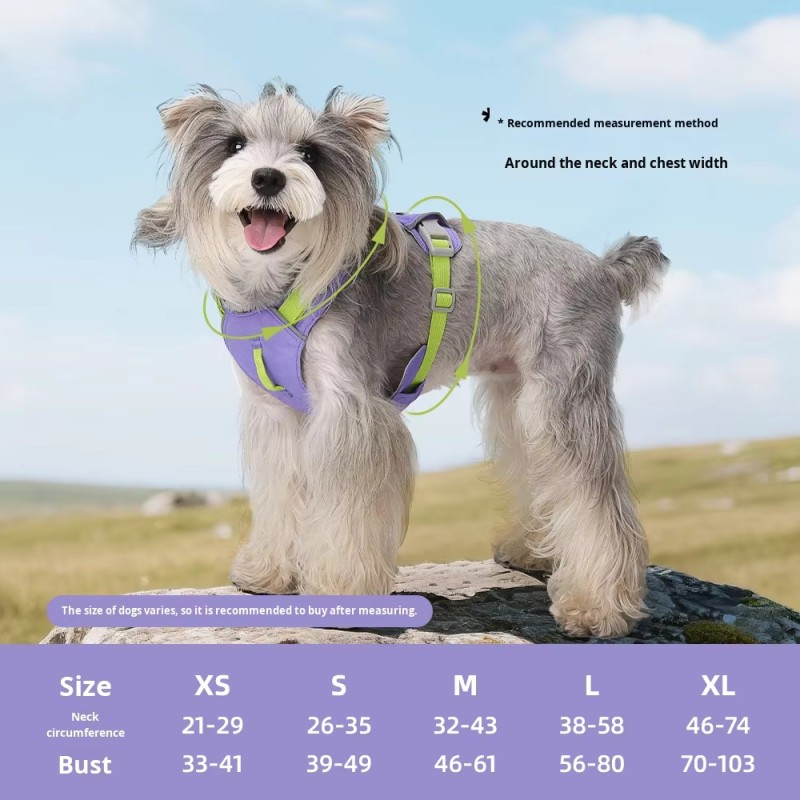 Pet Harness Manufacturer - Lightweight Padded Quick-Drying