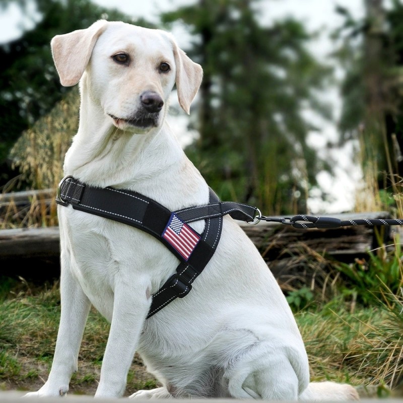 Dog Harness Set Factory - Fashionable Reflective Saddle Chest
