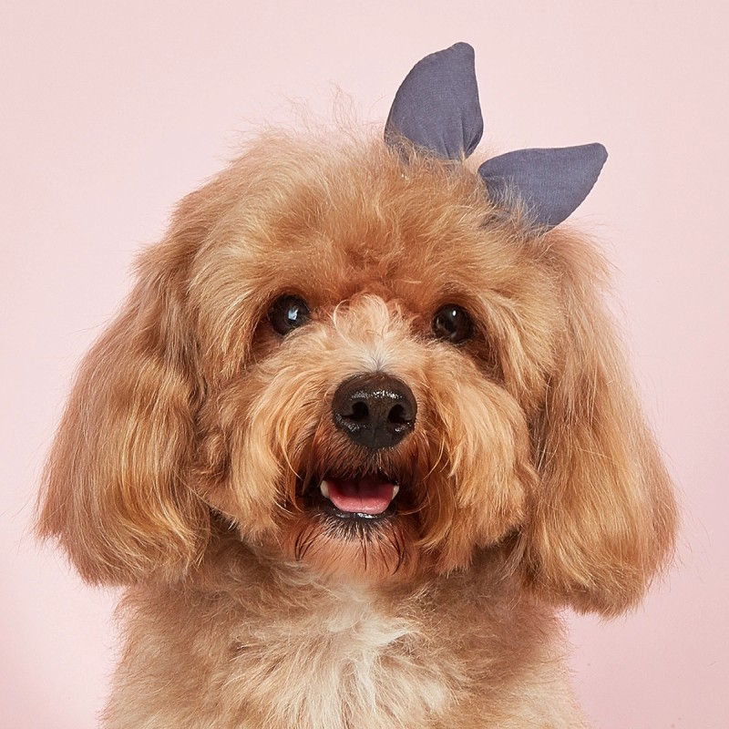 Dog Hair Clip Factory - Birthday 3D Sequin Rabbit Ears