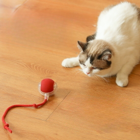 Cat Ball Toy Supplier - Luxury USB Rechargeable Self-Rolling