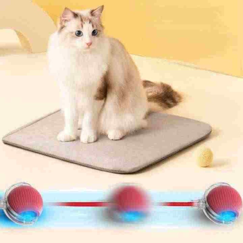 Cat Ball Toy Supplier - Luxury USB Rechargeable Self-Rolling