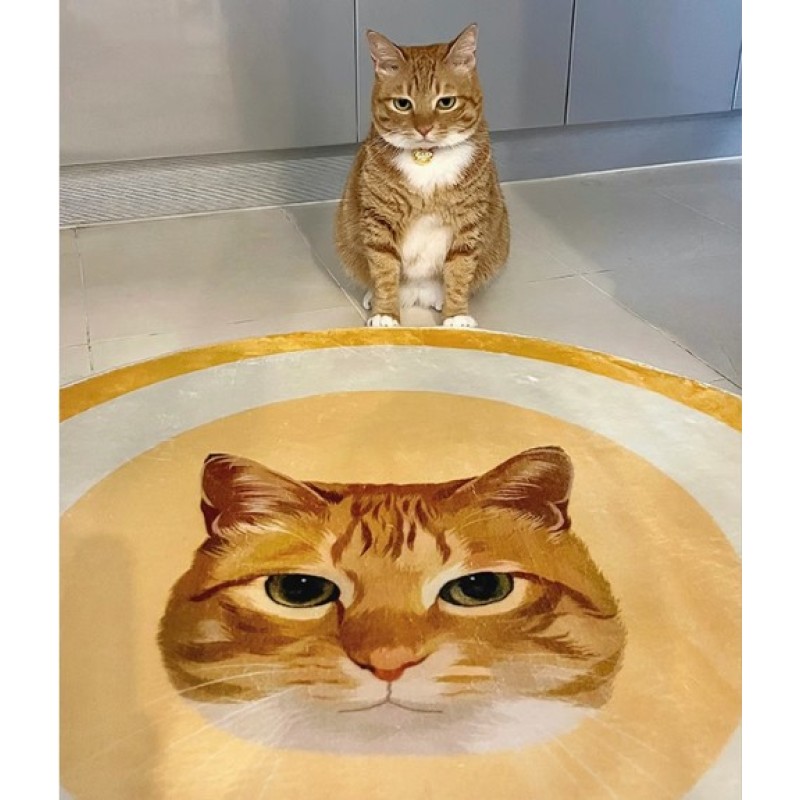 Pet Carpet Supplier - Custom Velvet Hand-Painted Portrait