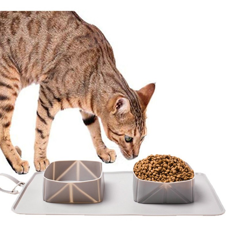 Dog Travel Bowl Factory - Double Collapsible Anti-choking