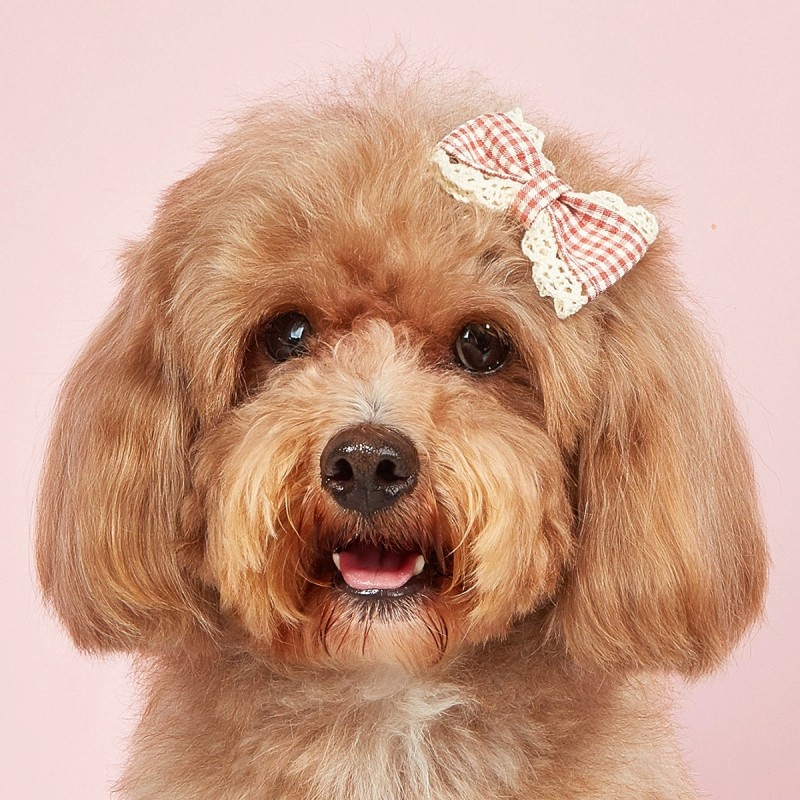 Dog Hair Clip Factory - Birthday 3D Sequin Rabbit Ears