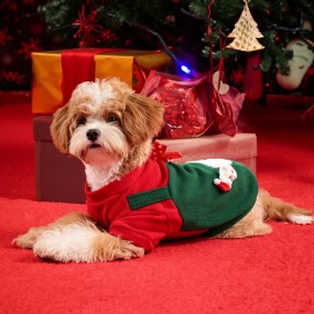 Dog Hoodie Factory - French Bulldog Fleece-lined Winter