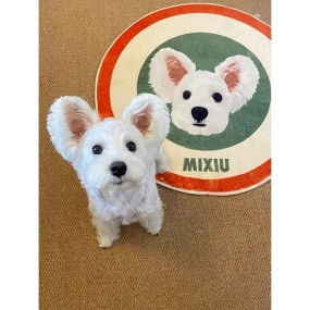 Pet Carpet Supplier - Custom Velvet Hand-Painted Portrait