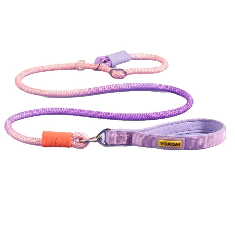 Dog Chain Leash Manufacturer - Hot New Explosion-Proof Anti-Tangle