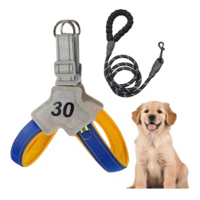 Pet Harness Factory - No Pull Straps Easy Control Handle