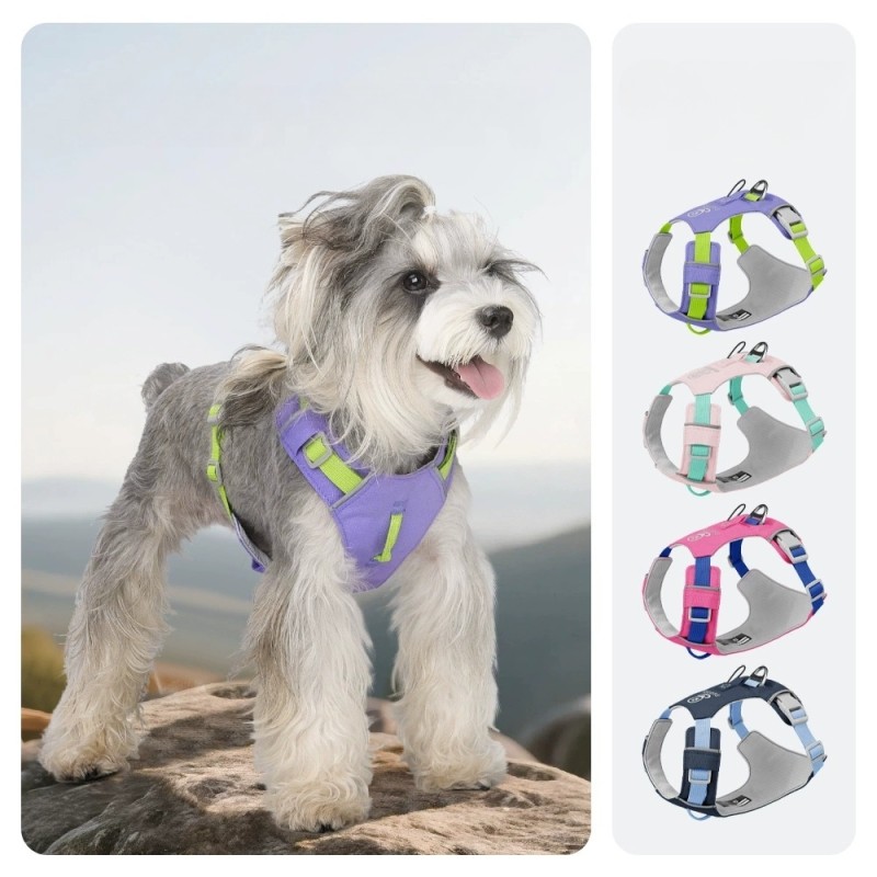 Pet Harness Manufacturer - Lightweight Padded Quick-Drying