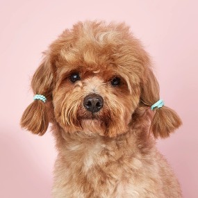 Pet Hair Ties Manufacturer - Non-Stuck Flower Bow Tie