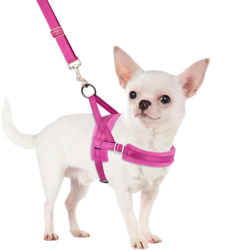 Dog Vest Harness Supplier - All-Weather Floral Mesh Velvet