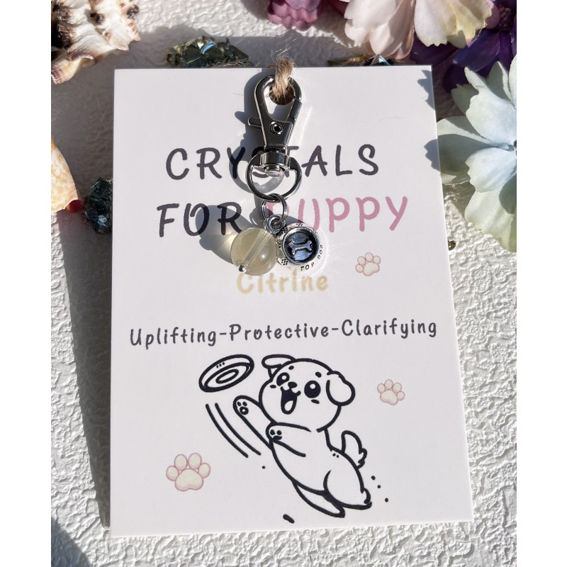 Pet Talisman Factory - Natural Crystal Ball Reiki Gem