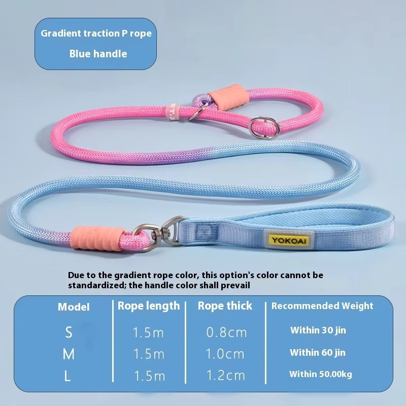 Dog Chain Leash Manufacturer - Hot New Explosion-Proof Anti-Tangle