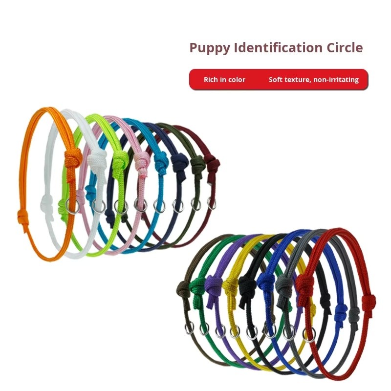 Dog Collar Manufacturer - Adjustable Classification Marking