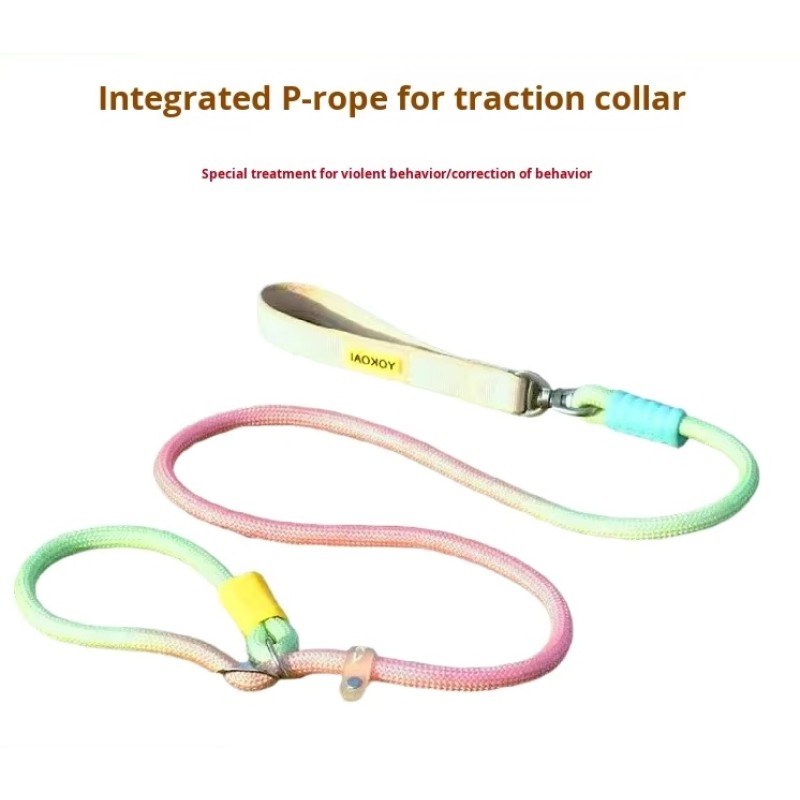 Dog Chain Leash Manufacturer - Hot New Explosion-Proof Anti-Tangle