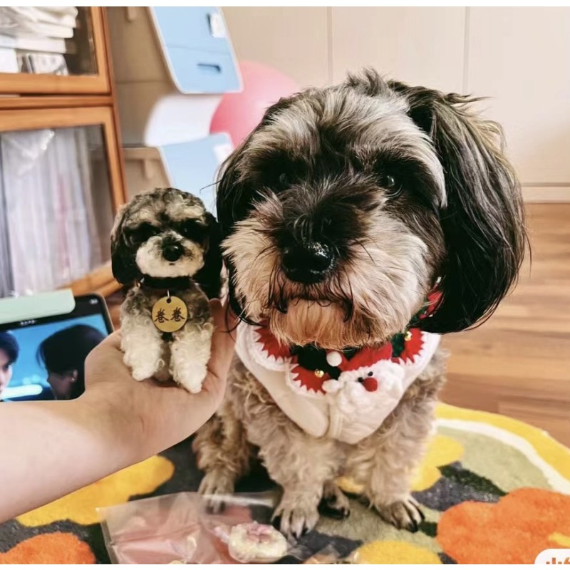 Pet Memorial Doll Manufacturer - Handmade Customizable Unique