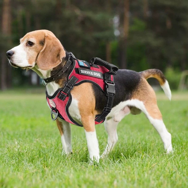 Dog Vest Harness Factory - Eco-Friendly Nylon Reflective