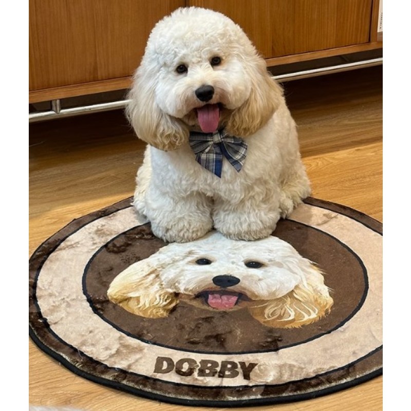 Pet Carpet Supplier - Custom Velvet Hand-Painted Portrait