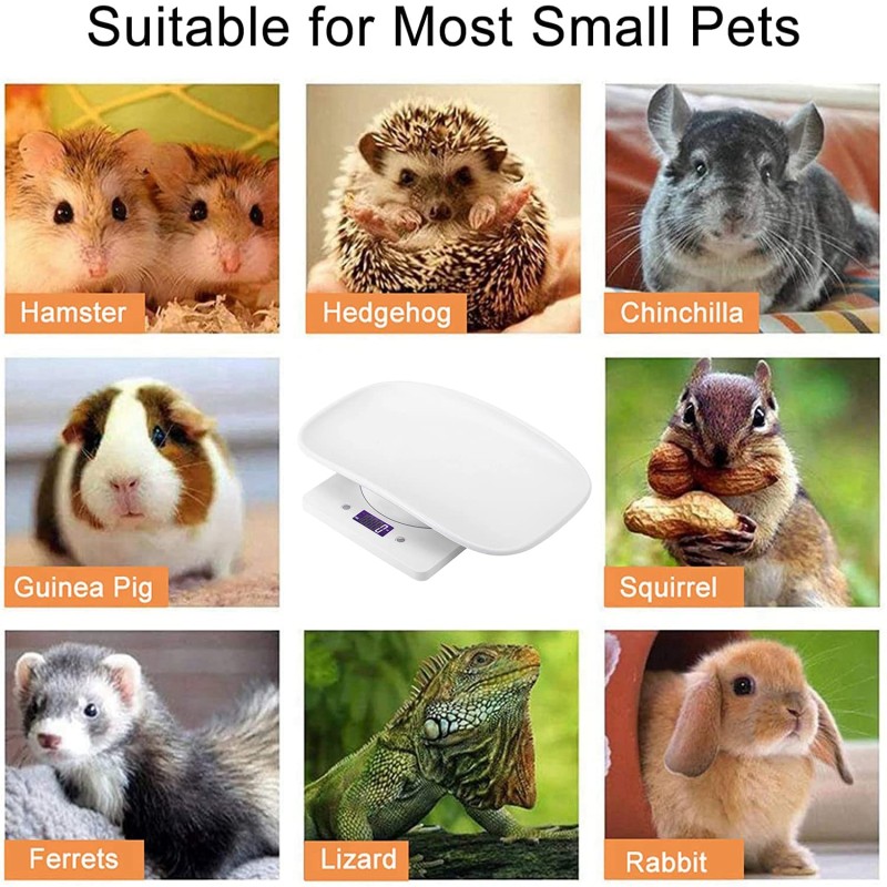 Pet Scale Manufacturer - Digital Precision LCD 10kg Weight