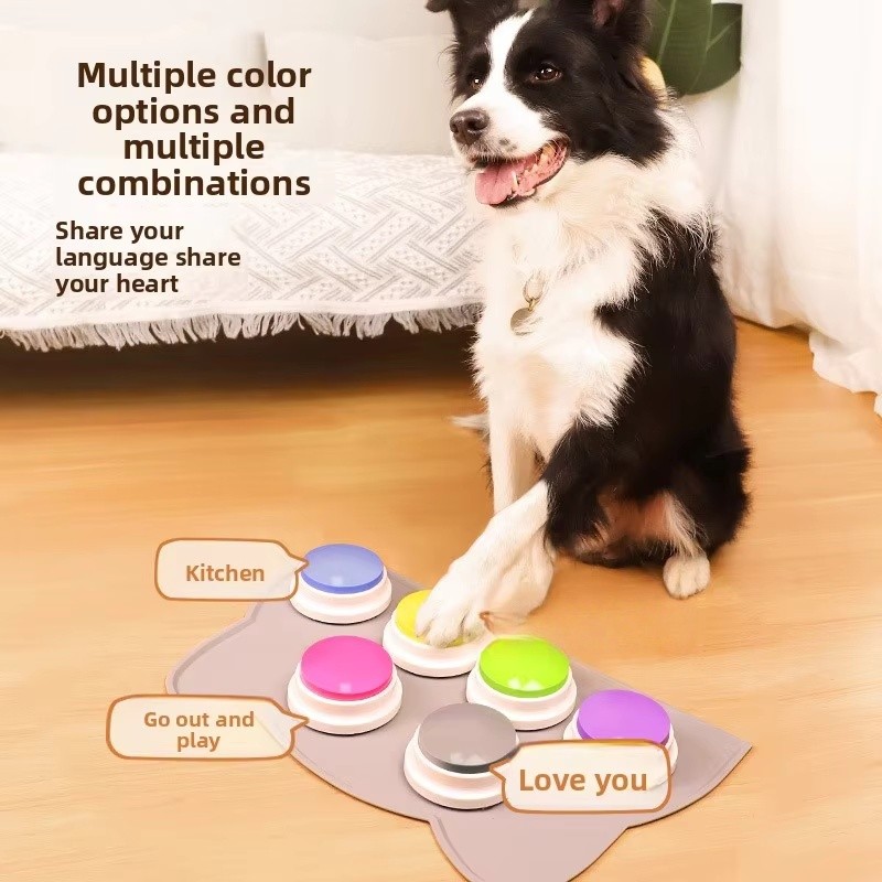 Pet Talking Button Supplier - Magic Recording Squeaky Box