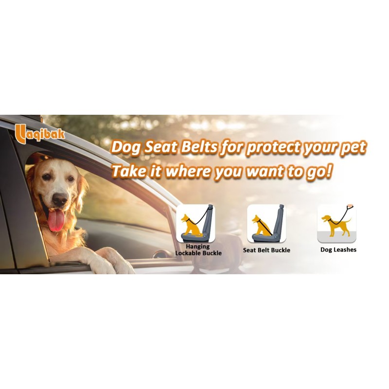 Pet Braided Leash Supplier - Ergonomic 1.2M Anti-Slip