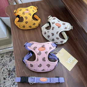 Dog Harness Set Factory - Small Medium Nylon Padded Feature