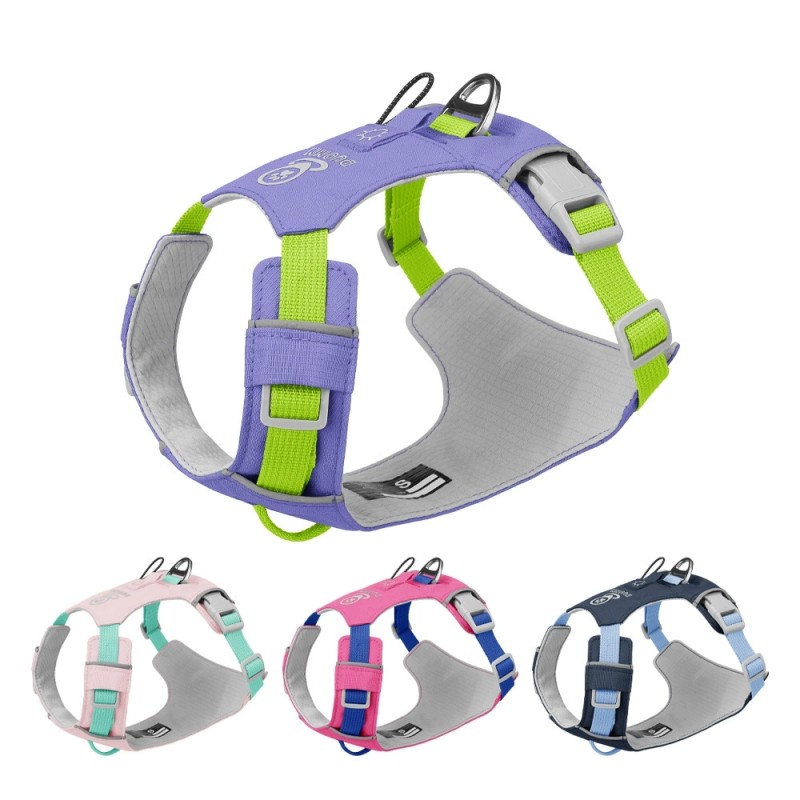 Pet Harness Manufacturer - Lightweight Padded Quick-Drying