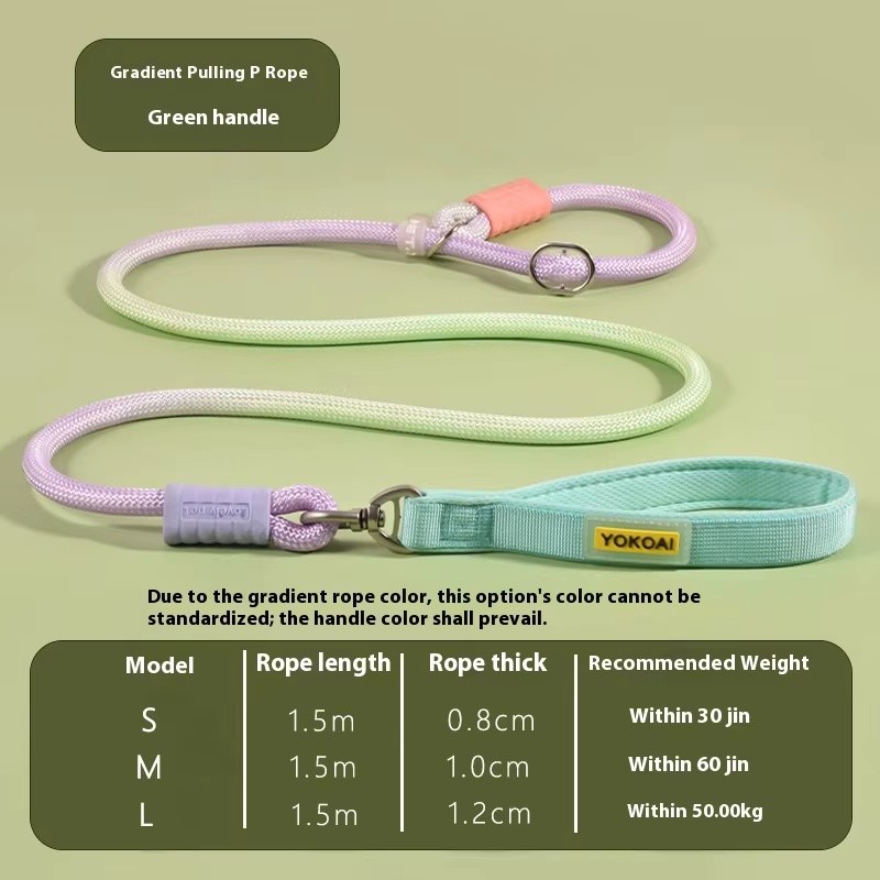 Dog Chain Leash Manufacturer - Hot New Explosion-Proof Anti-Tangle