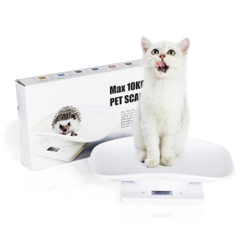 Pet Scale Manufacturer - Digital Precision LCD 10kg Weight