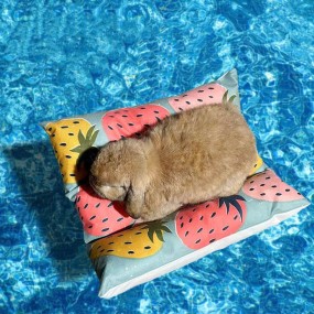 Pet Warm Mat Manufacturer - Rabbit Crouching Seasonal Universal