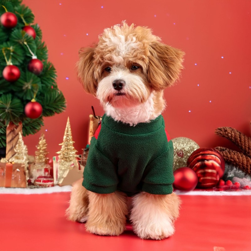 Dog Hoodie Factory - French Bulldog Fleece-lined Winter