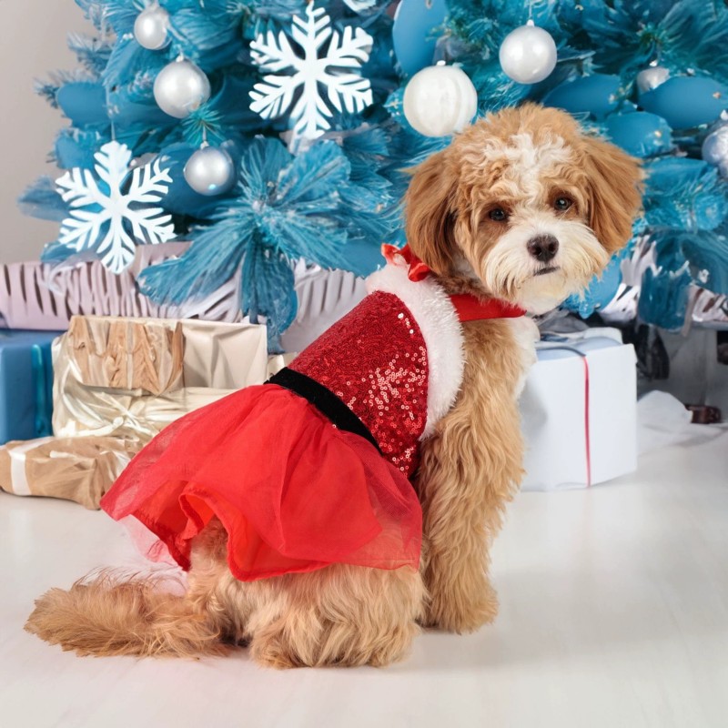 Dog Christmas Costume Supplier - Velvet Sequin Glitter Party
